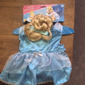 Cinderella costume, worn once,size medium
